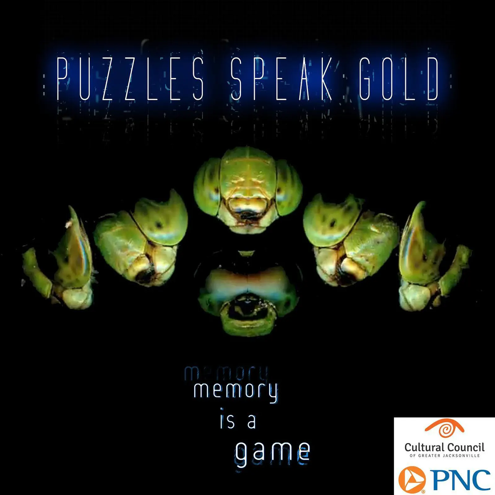 Puzzles Speak Gold, project image 2